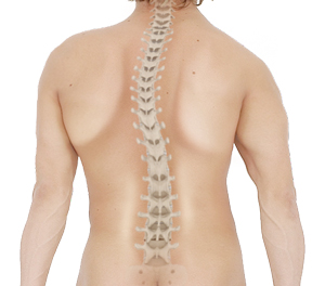 Cauda Equina Syndrome